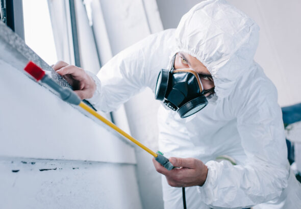 pest control worker in respirator spraying pesticides under windowsill at home